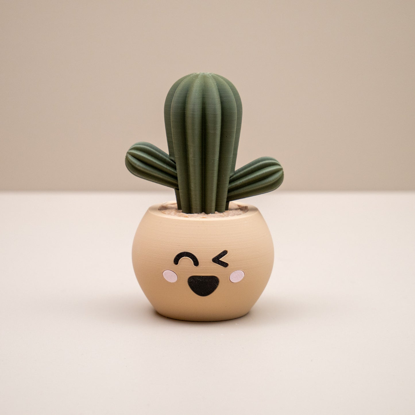 Cute Cactus Pots with Faces - Home decor small ornament - Kawaii smiley face pots