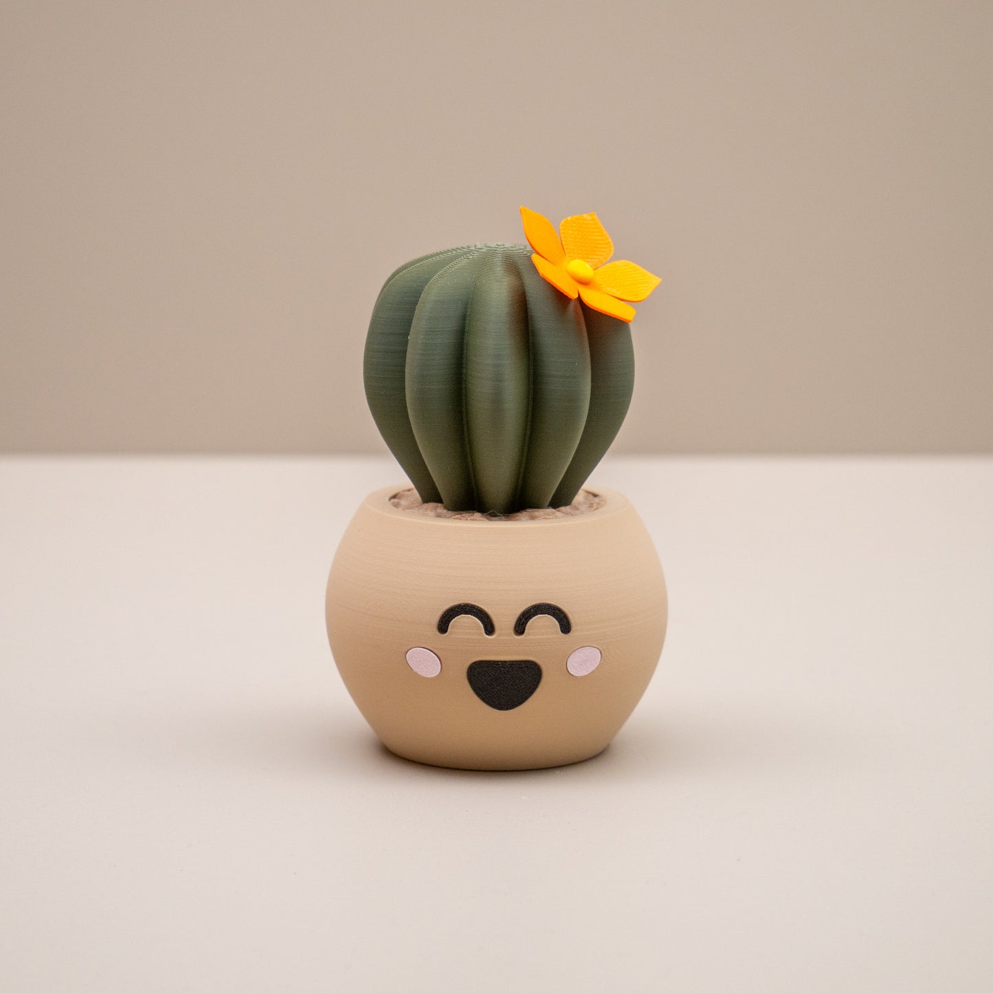 Cute Cactus Pots with Faces - Home decor small ornament - Kawaii smiley face pots