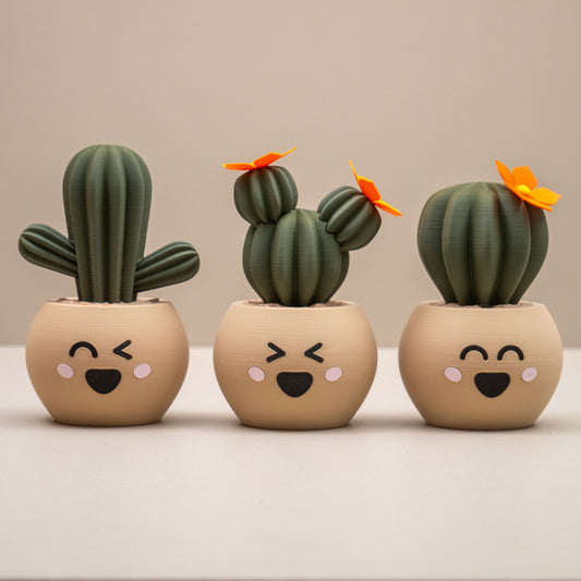 Cute Cactus Pots with Faces - Home decor small ornament - Kawaii smiley face pots