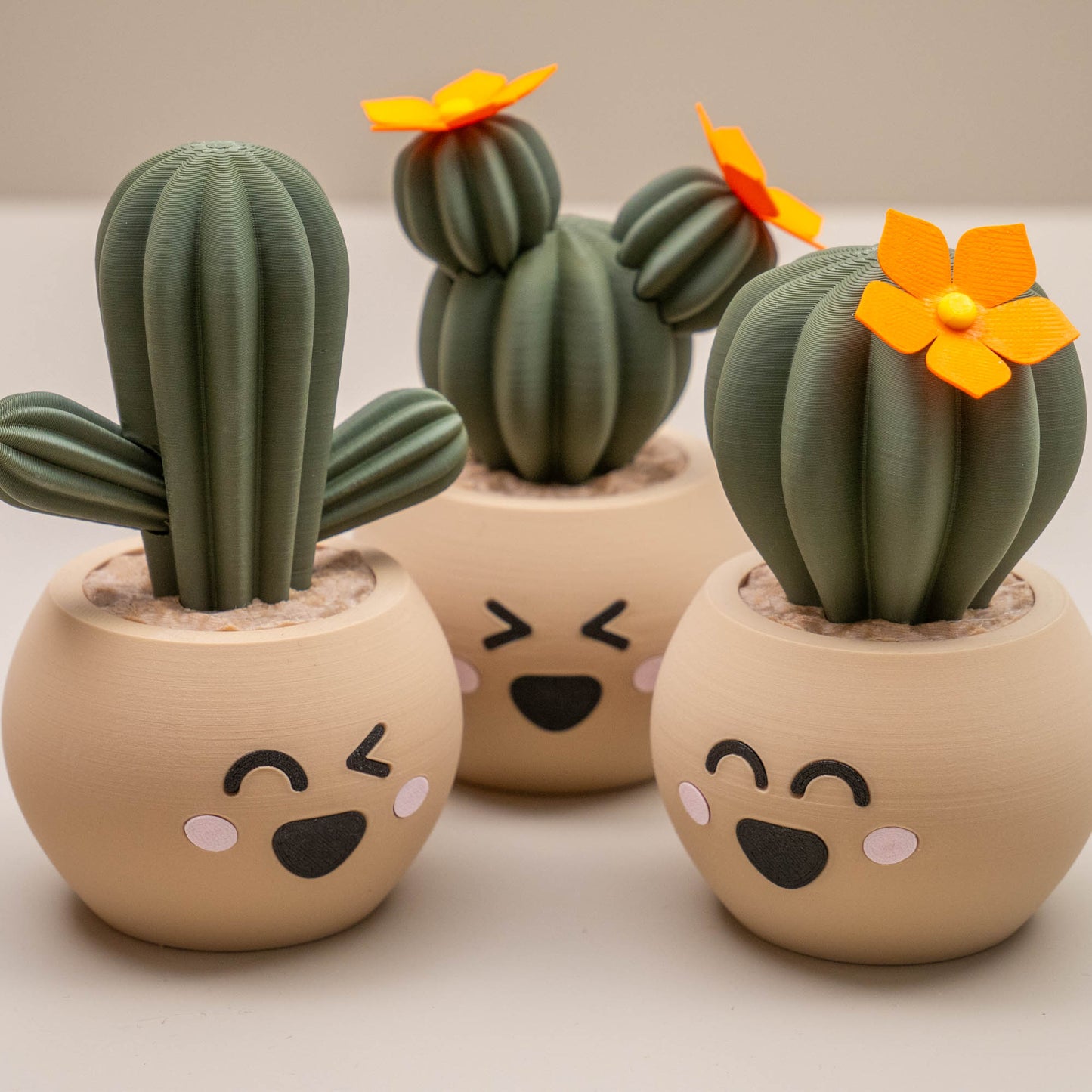 Cute Cactus Pots with Faces - Home decor small ornament - Kawaii smiley face pots