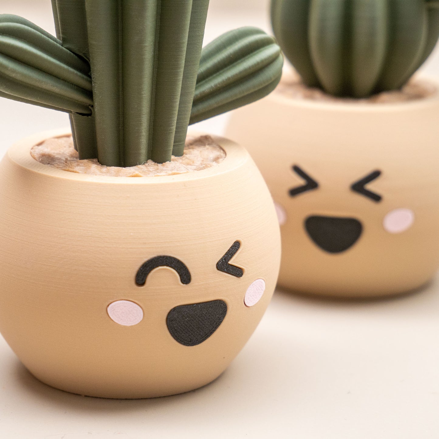 Cute Cactus Pots with Faces - Home decor small ornament - Kawaii smiley face pots
