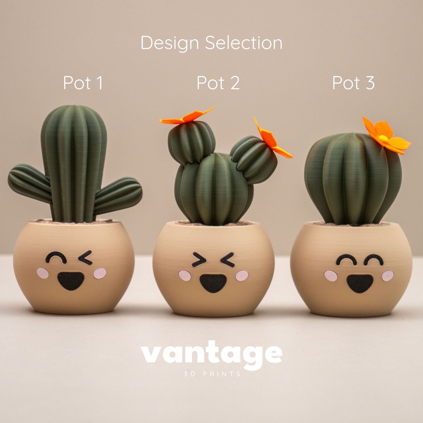 Cute Cactus Pots with Faces - Home decor small ornament - Kawaii smiley face pots