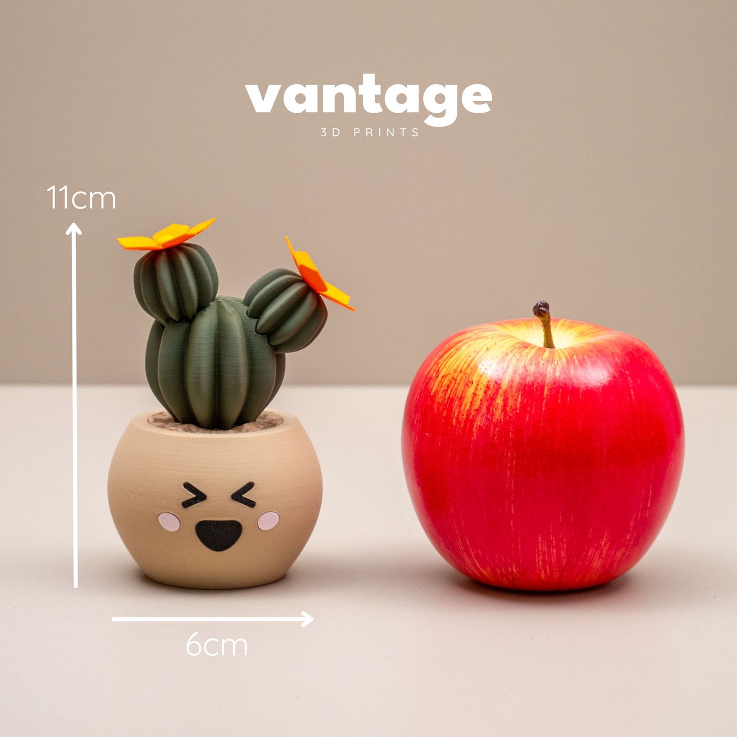 Cute Cactus Pots with Faces - Home decor small ornament - Kawaii smiley face pots