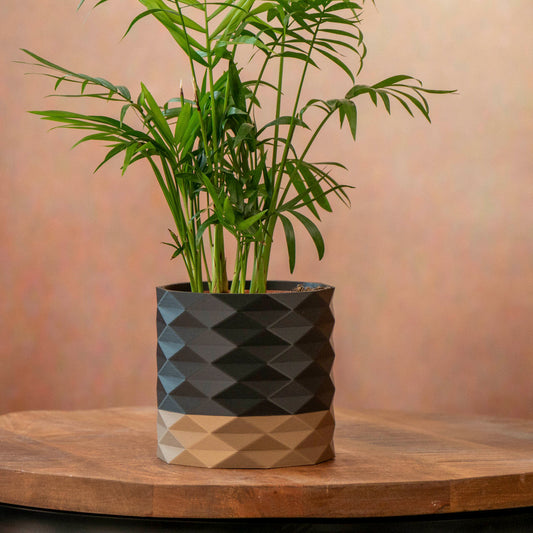 Decorative Plant Pot - Diamond Pattern - Black and Gold - Vantage 3D Prints
