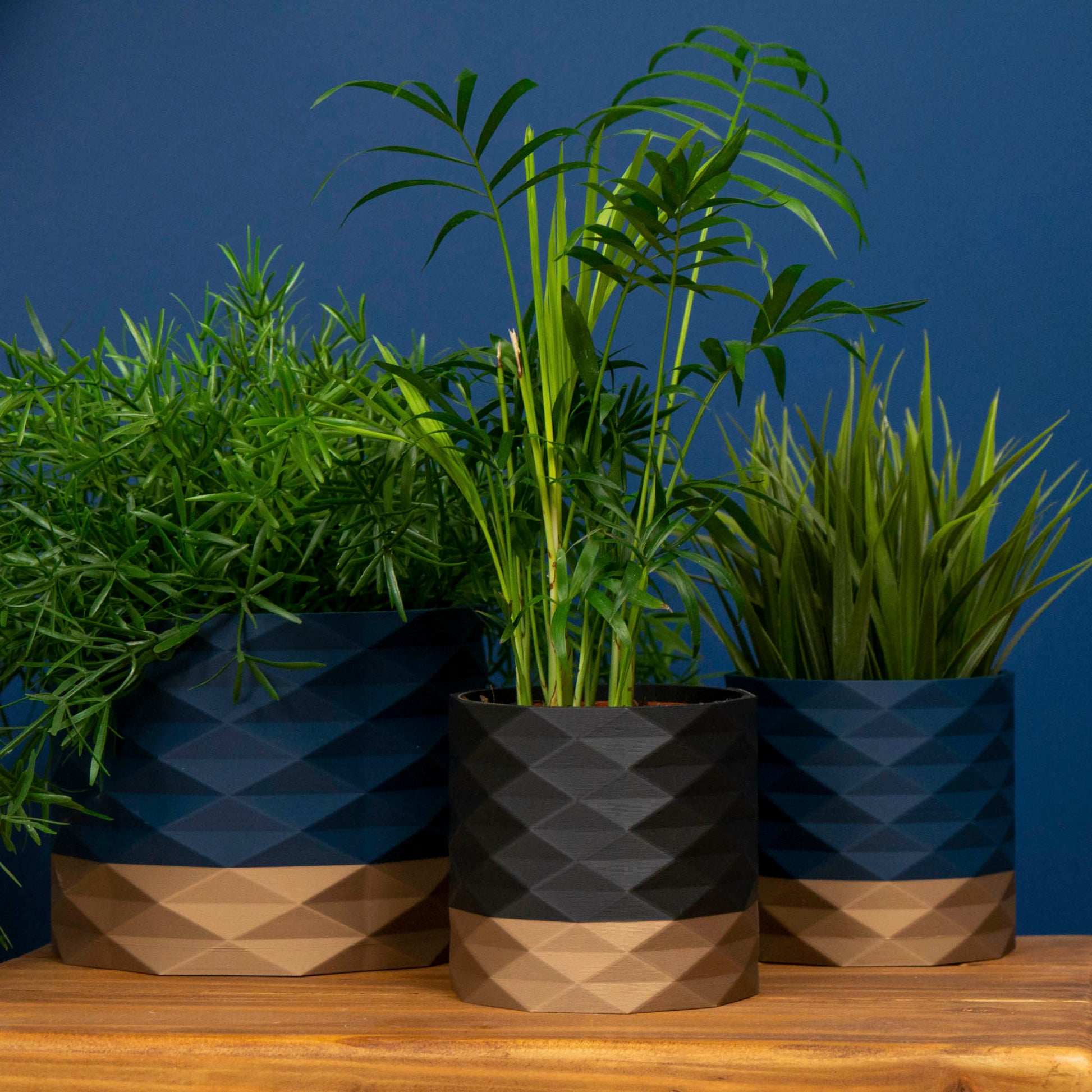 Decorative Plant Pot - Diamond Pattern - Navy Blue and Gold - Vantage 3D Prints