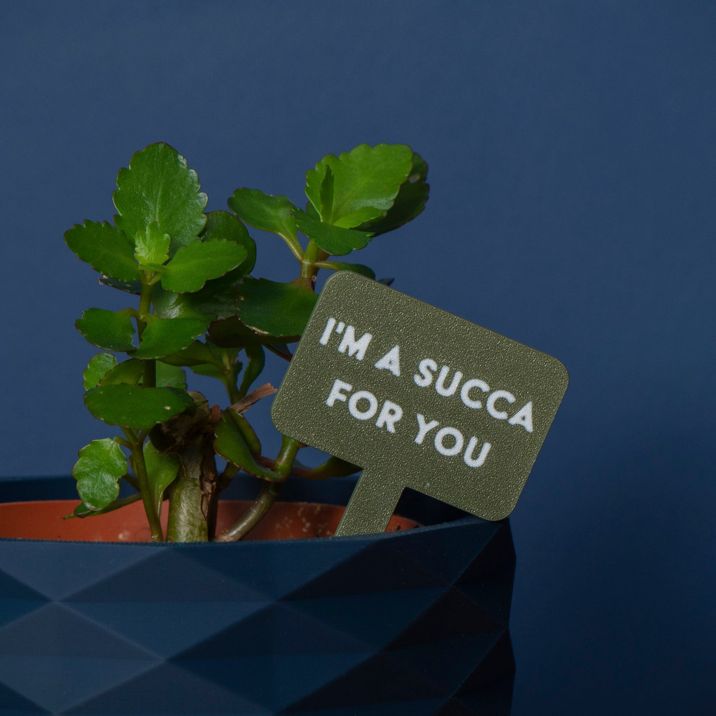 Plant Pot Signs - Funny Plant Markers - Planter Accessories - Plant Lover Gift - Vantage 3D Prints