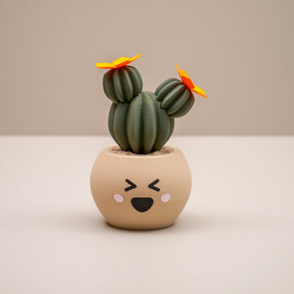 Cute Cactus Pots with Faces - Home decor small ornament - Kawaii smiley face pots
