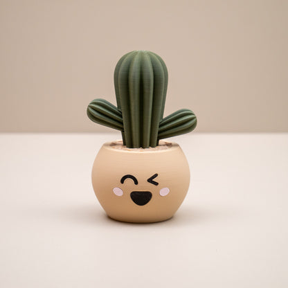 Cute Cactus Pots with Faces - Home decor small ornament - Kawaii smiley face pots