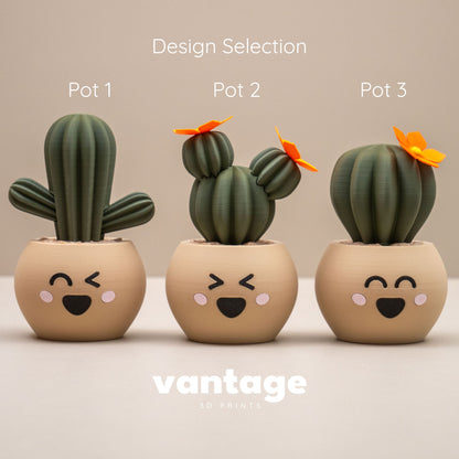 Cute Cactus Pots with Faces - Home decor small ornament - Kawaii smiley face pots