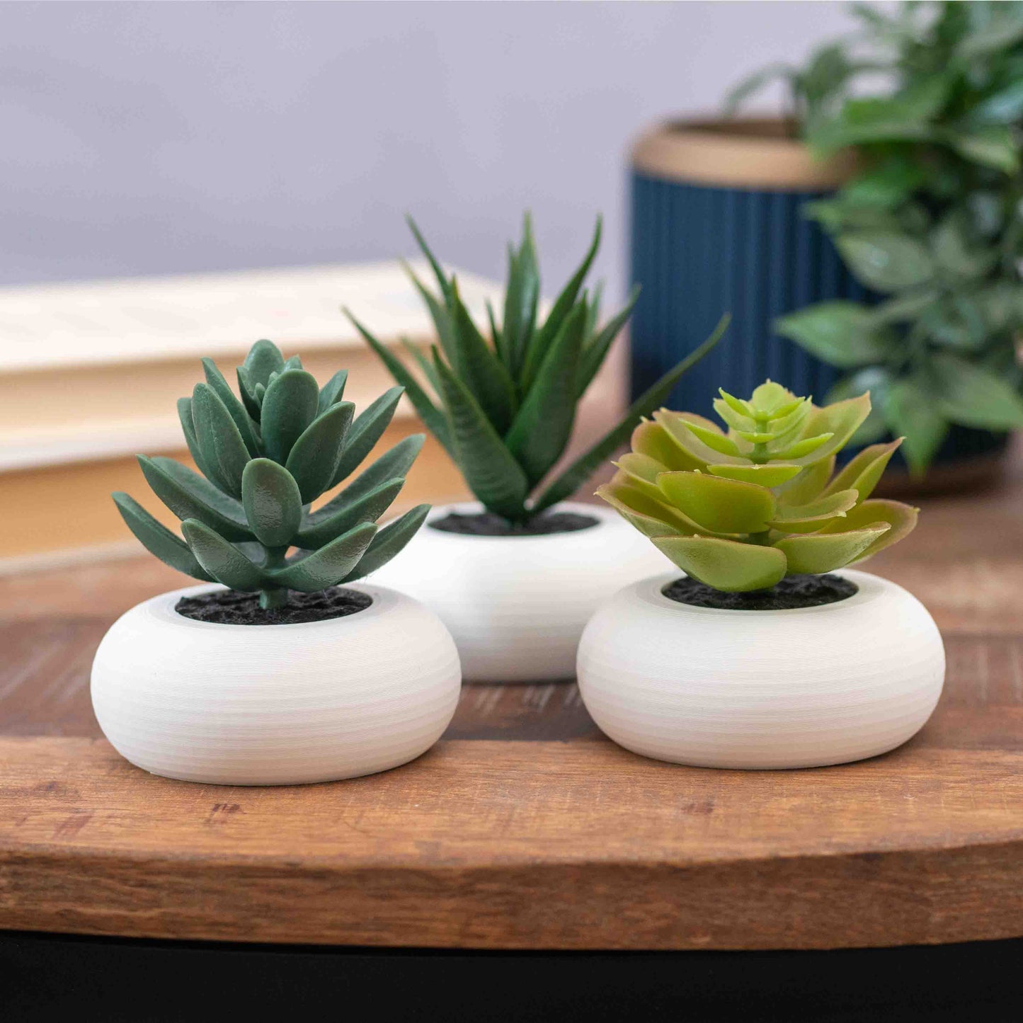 Artificial Succulent Planter - Set of 3 Circular Round - White