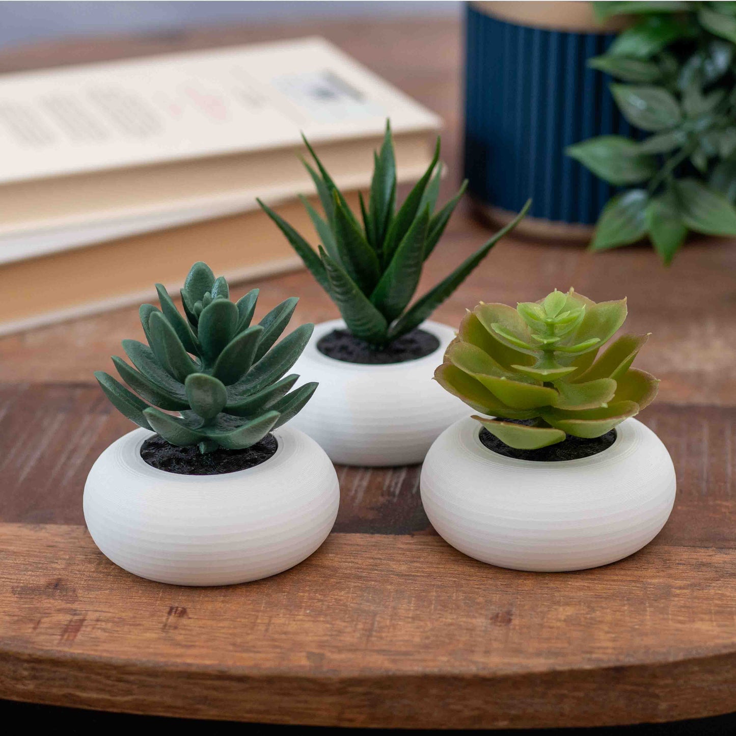 Artificial Succulent Planter - Set of 3 Circular Round - White