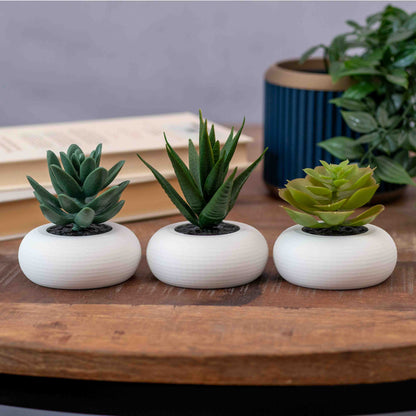 Artificial Succulent Planter - Set of 3 Circular Round - White