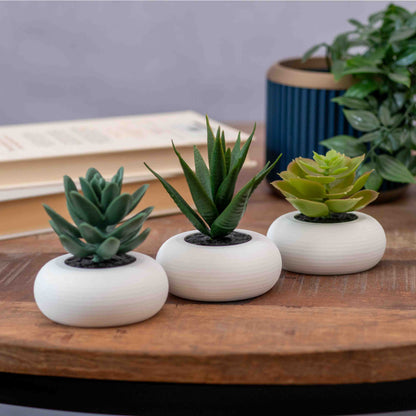 Artificial Succulent Planter - Set of 3 Circular Round - White