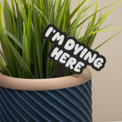 Plant Pot Signs - Funny Plant Markers - Colourful Bubble Planter Accessories