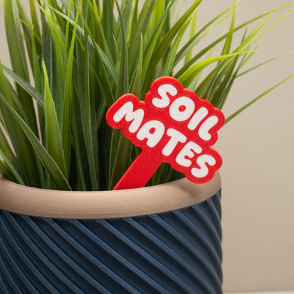 Plant Pot Signs - Funny Plant Markers - Colourful Bubble Planter Accessories