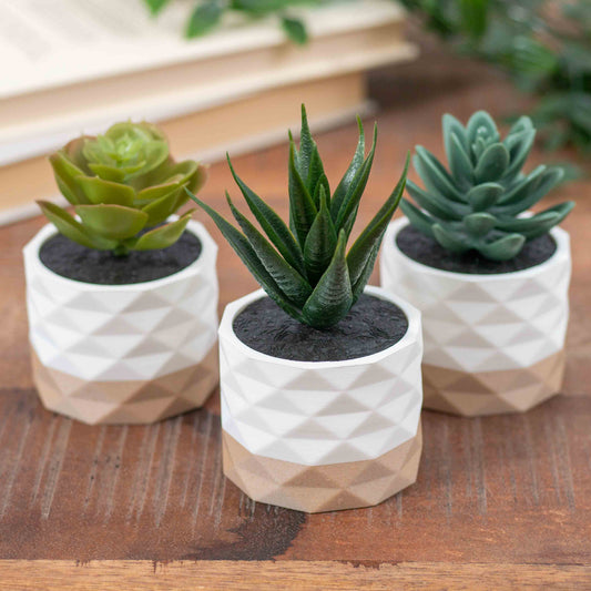 Artificial Succulent Planter - Set of 3 Diamond White and Wood Effect